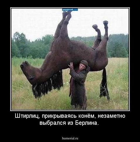 Штирлиц,  прикрываясь  конём,   незаметно  выбрался  из  Берлина.