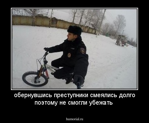 обернувшись преступники смеялись долго поэтому не смогли убежать 