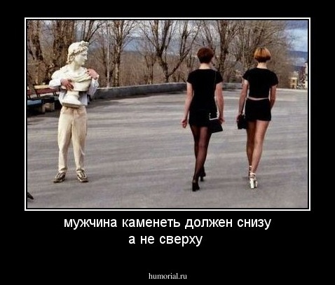 мужчина каменеть должен снизу а не сверху