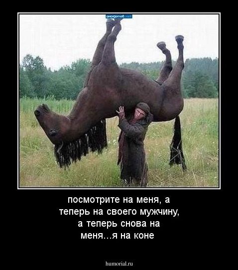 посмотрите на меня, а теперь на своего мужчину, а теперь снова на меня...я на коне