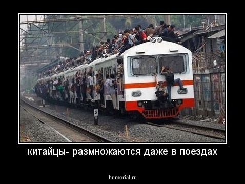 китайцы- размножаются даже в поездах