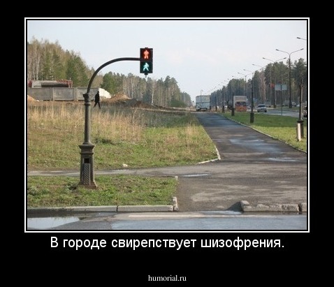 В городе свирепствует шизофрения.