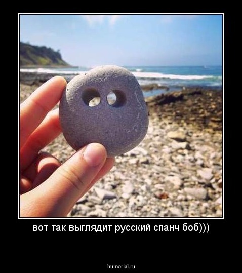 вот так выглядит русский спанч боб)))
