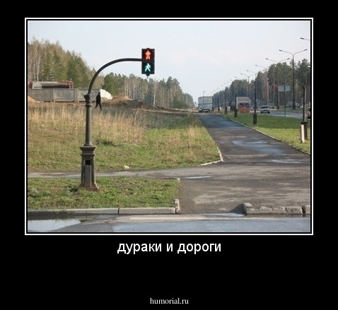 дураки и дороги
