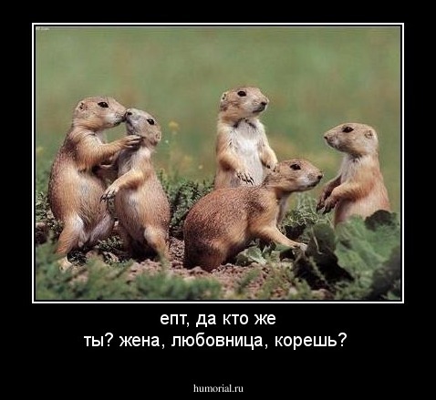 епт, да кто же ты? жена, любовница, корешь?