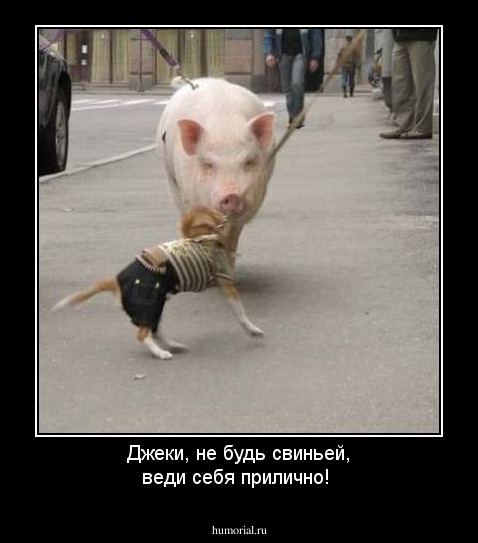 Джеки, не будь свиньей, веди себя прилично!