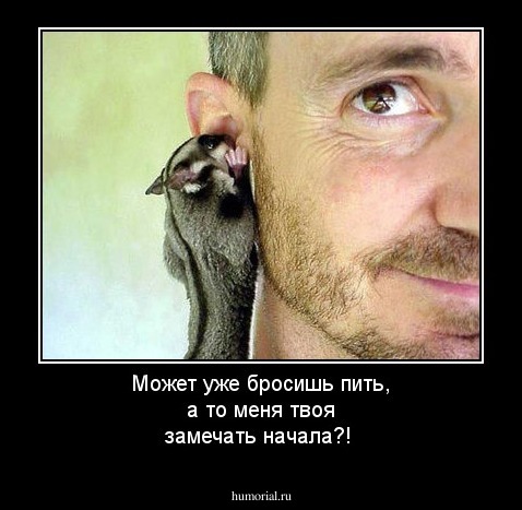 Может уже бросишь пить, а то меня твоя замечать начала?!