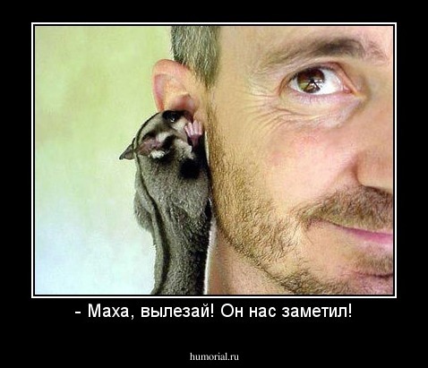 - Маха, вылезай! Он нас заметил!