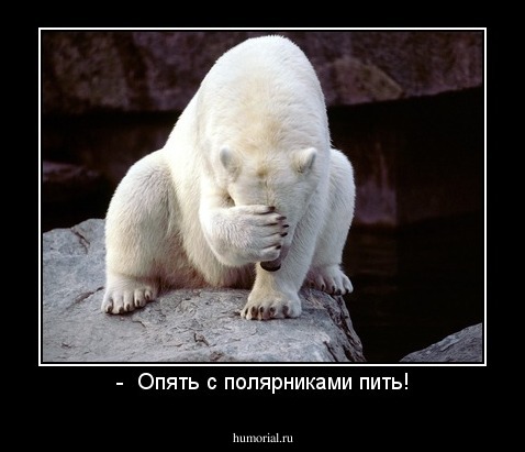 -  Опять с полярниками пить!