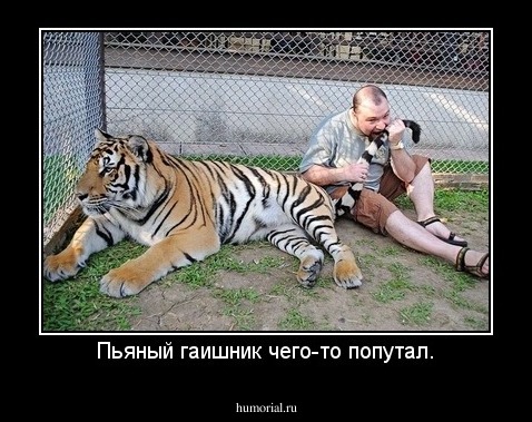 Пьяный гаишник чего-то попутал.