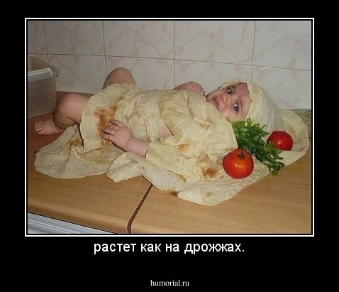 растет как на дрожжах.