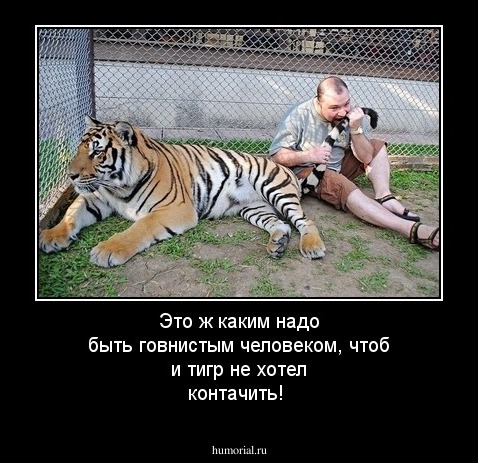Это ж каким надо быть говнистым человеком, чтоб и тигр не хотел контачить!