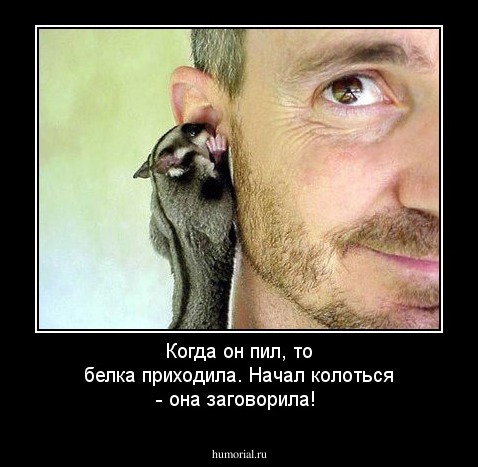 Когда он пил, то белка приходила. Начал колоться - она заговорила!