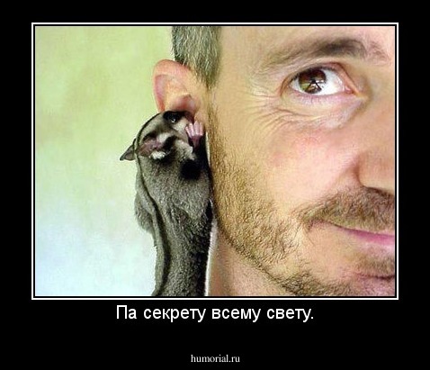 Па секрету всему свету.