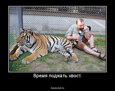 Время поджать хвост.