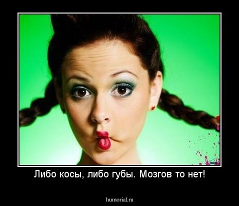 Либо косы, либо губы. Мозгов то нет!