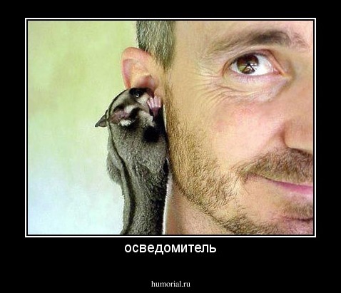 осведомитель