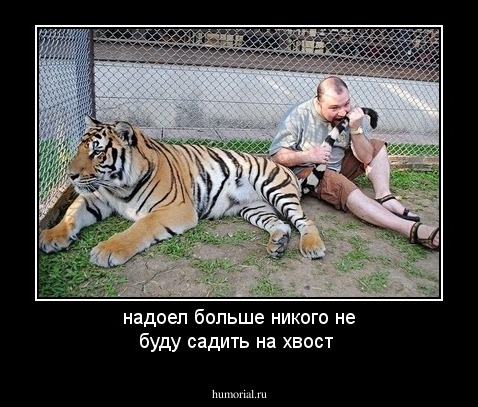 надоел больше никого не буду садить на хвост