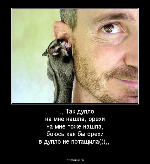 - ,, Так дупло на мне нашла, орехи на мне тоже нашла, боюсь как бы орехи в дупло не потащила(((,, 