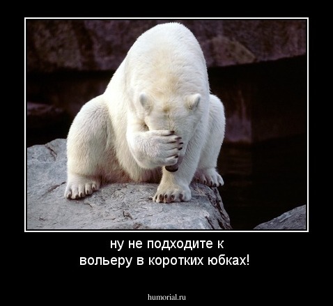 ну не подходите к вольеру в коротких юбках!
