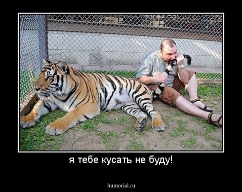 я тебе кусать не буду!