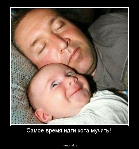 Самое время идти кота мучить! 