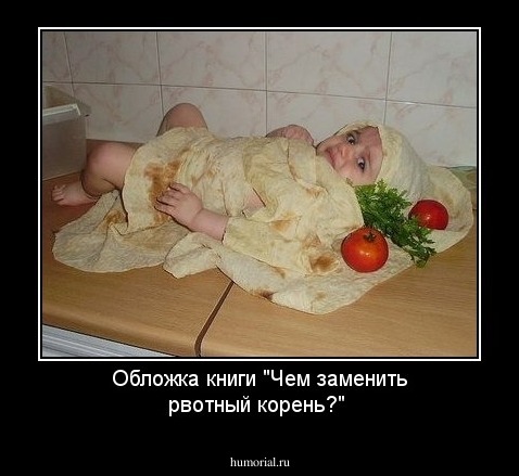 Обложка книги "Чем заменить рвотный корень?"