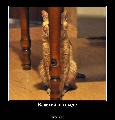 Василий в засаде