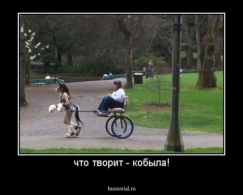 что творит - кобыла!