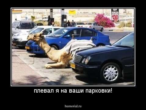 плевал я на ваши парковки!