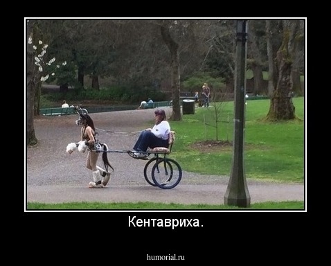 Кентавриха.