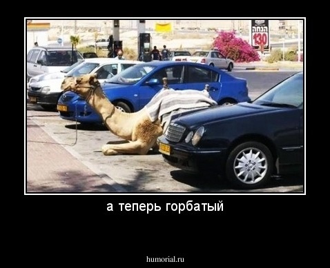 а теперь горбатый
