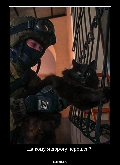 Да кому я дорогу перешел?!