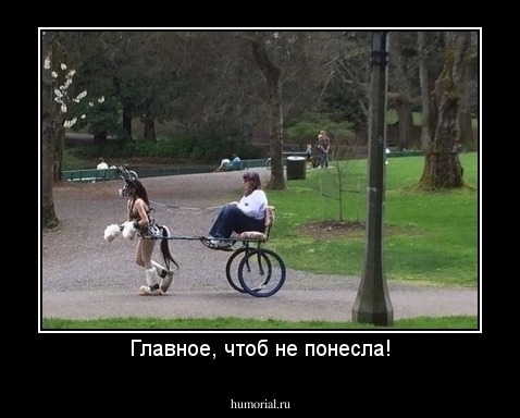 Главное, чтоб не понесла!