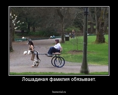 Лошадиная фамилия обязывает.