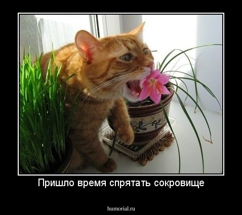 Пришло время спрятать сокровище