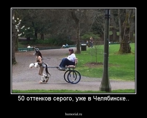 50 оттенков серого, уже в Челябинске..
