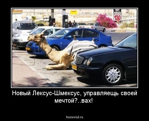 Новый Лексус-Шмексус, управляещь своей мечтой?..вах!