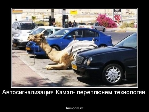 Автосигнализация Кэмэл- переплюнем технологии