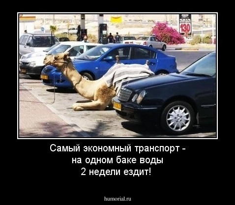 Самый экономный транспорт - на одном баке воды 2 недели ездит!