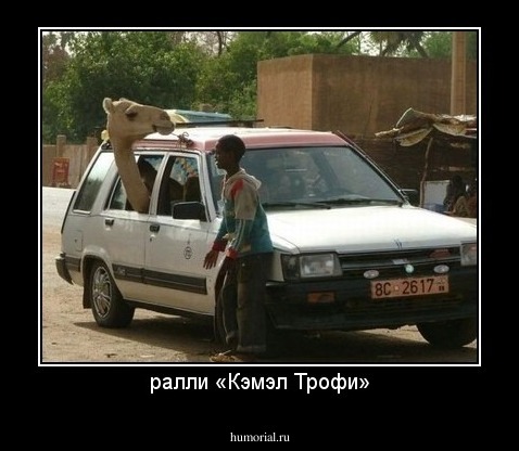 ралли «Кэмэл Трофи»