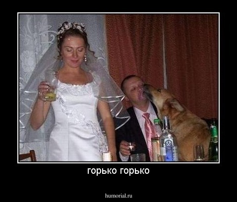 горько горько