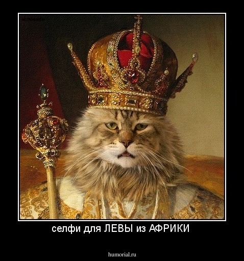 селфи для ЛЕВЫ из АФРИКИ 