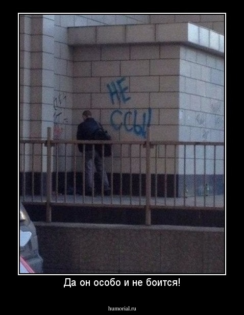 Да он особо и не боится!