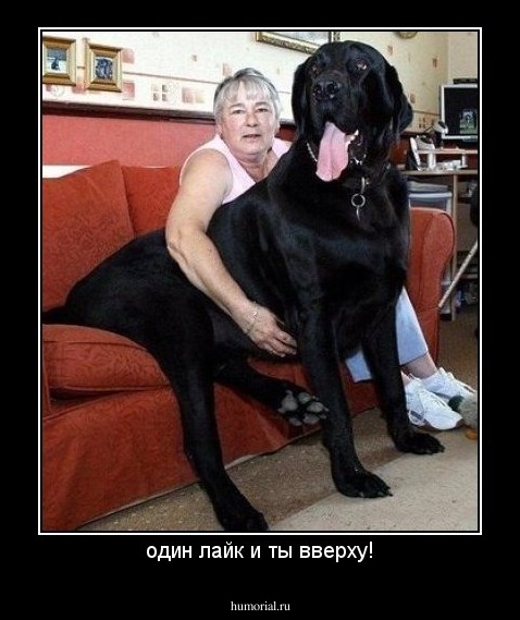 один лайк и ты вверху!