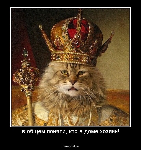в общем поняли, кто в доме хозяин!