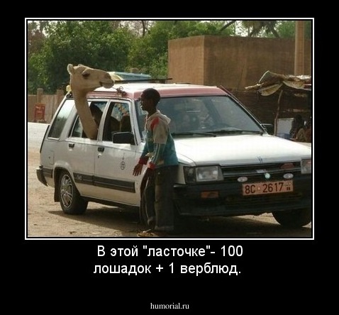 В этой "ласточке"- 100 лошадок + 1 верблюд.