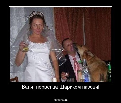 Ваня, первенца Шариком назови!