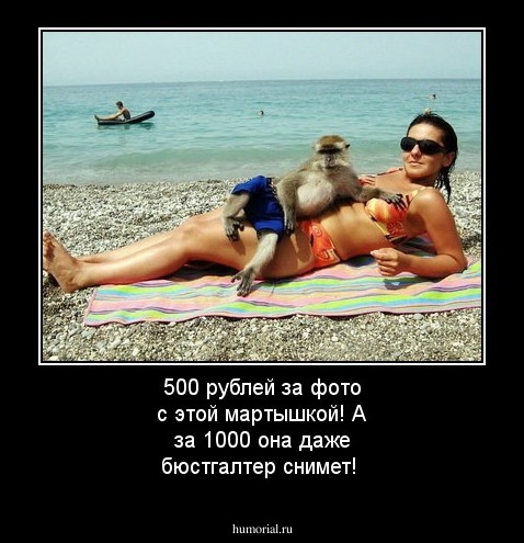 500 рублей за фото с этой мартышкой! А за 1000 она даже бюстгалтер снимет!
