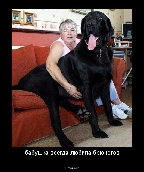 бабушка всегда любила брюнетов